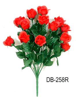 DB-258R