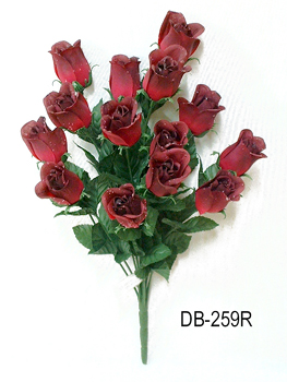 DB-259R