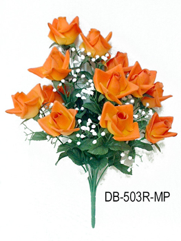 DB-503R-MP