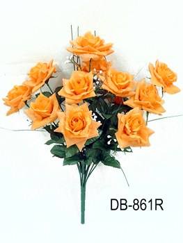 DB-861R
