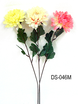 DS-046M