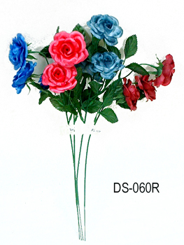 DS-060R