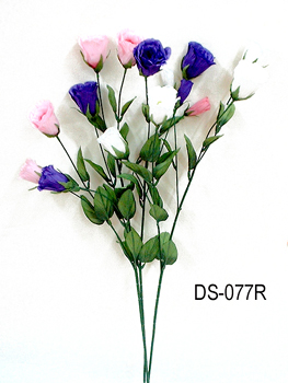 DS-077R