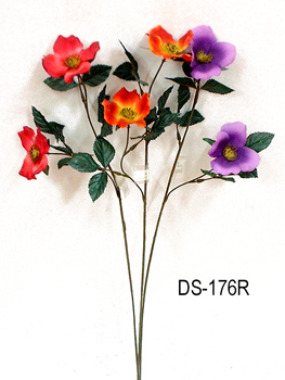 DS-176R