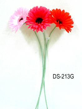 DS-213G