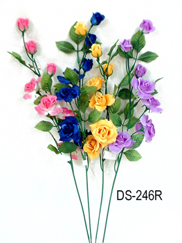 DS-246R