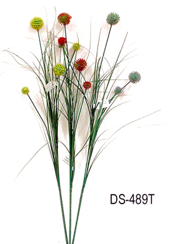 DS-489T