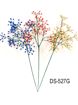 DS-527G
