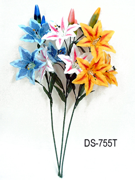 DS-755T