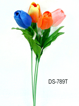 DS-789T