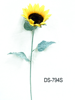 DS-794S
