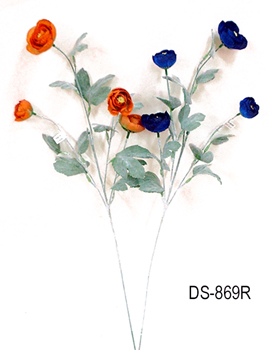 DS-869R
