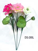 DS-285L