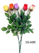 DS-449R