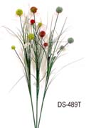 DS-489T