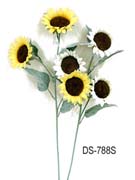 DS-788S