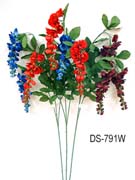 DS-791W