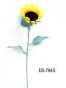 DS-794S